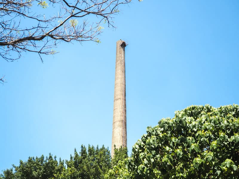 A tall cement smokestack rising above some trees