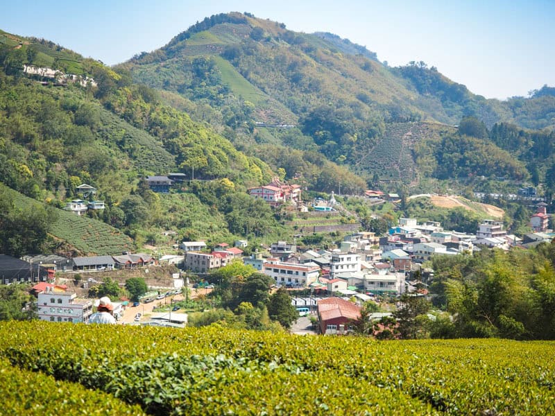 A small village surrounded by tea plantations and mountains