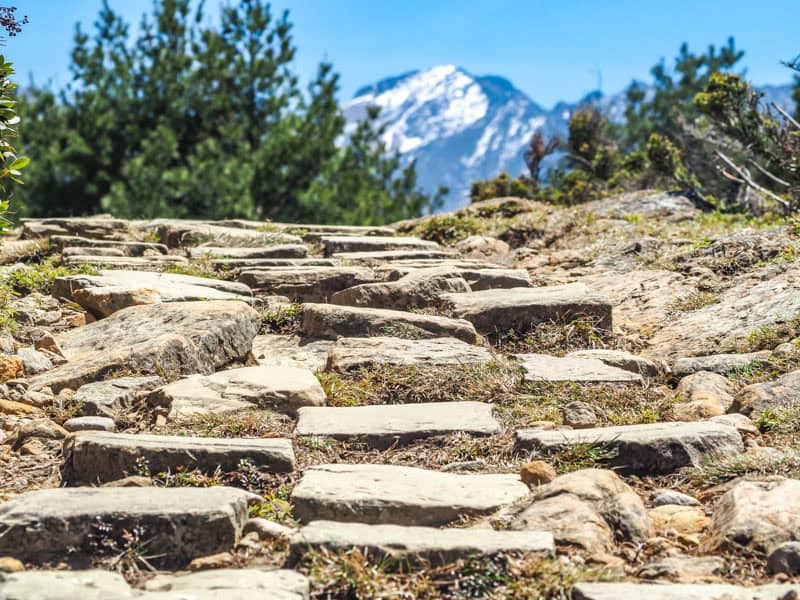 Looking up a path with stone steps, with a snowy mountain peak rising in the distance above them 