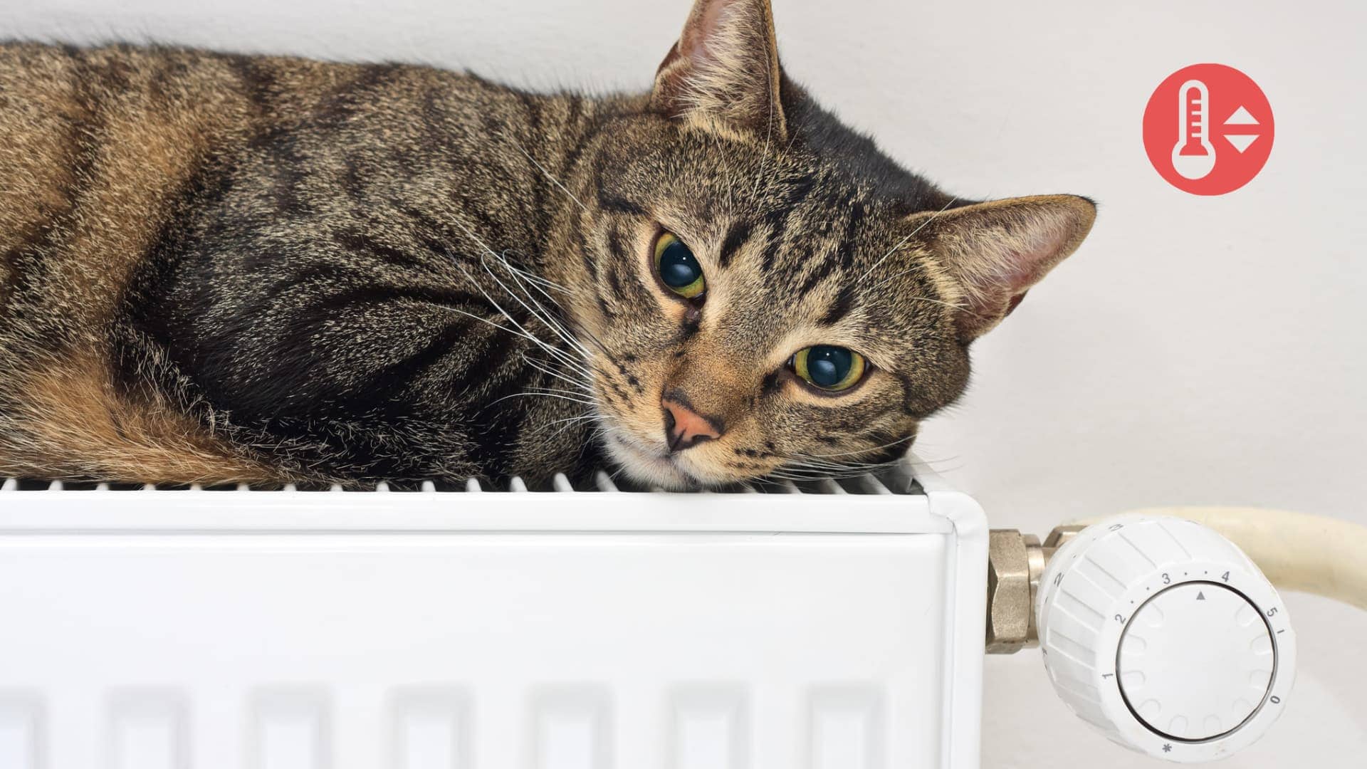 smart termostat vs manuel