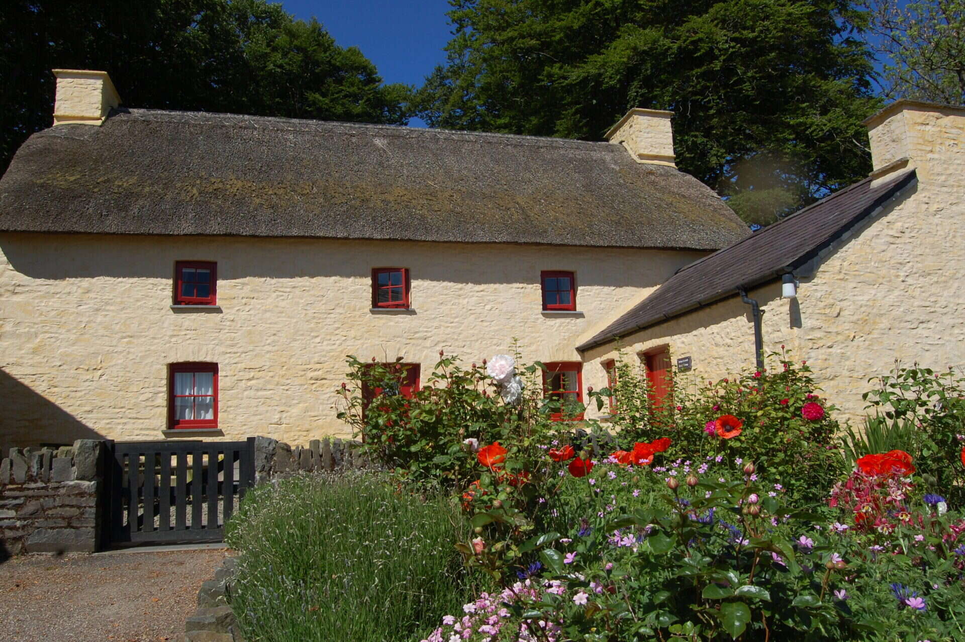 Thatch Exterior 2011