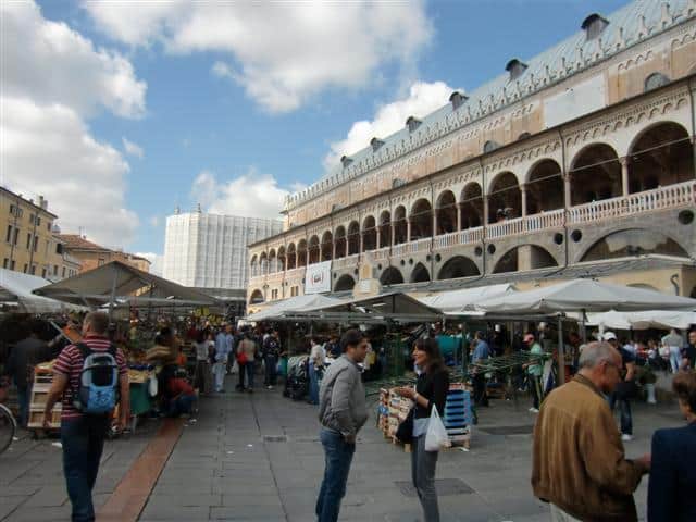 Wochenmarkt in Padua rund um den Palazzo della Ragione - Blog Topfgartenwelt