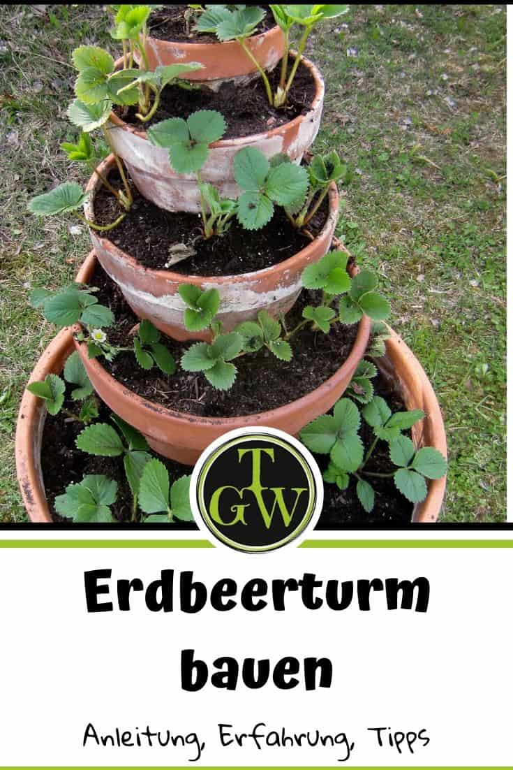 Erdbeerturm, Erdbeerpyramide - Pinterest - Gartenblog Topfgartenwelt