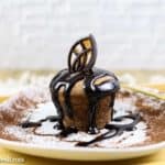 Mohr im Hemd | Schoko-Nuss-Soufflé | Dampfgarer oder Mikrowelle - Foodblog Topfgartenwelt