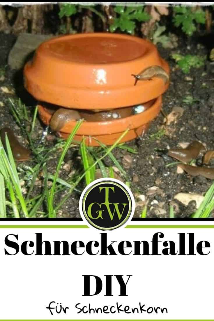 Schneckenfalle selber bauen - Pinterest - Gartenblog Topfgartenwelt
