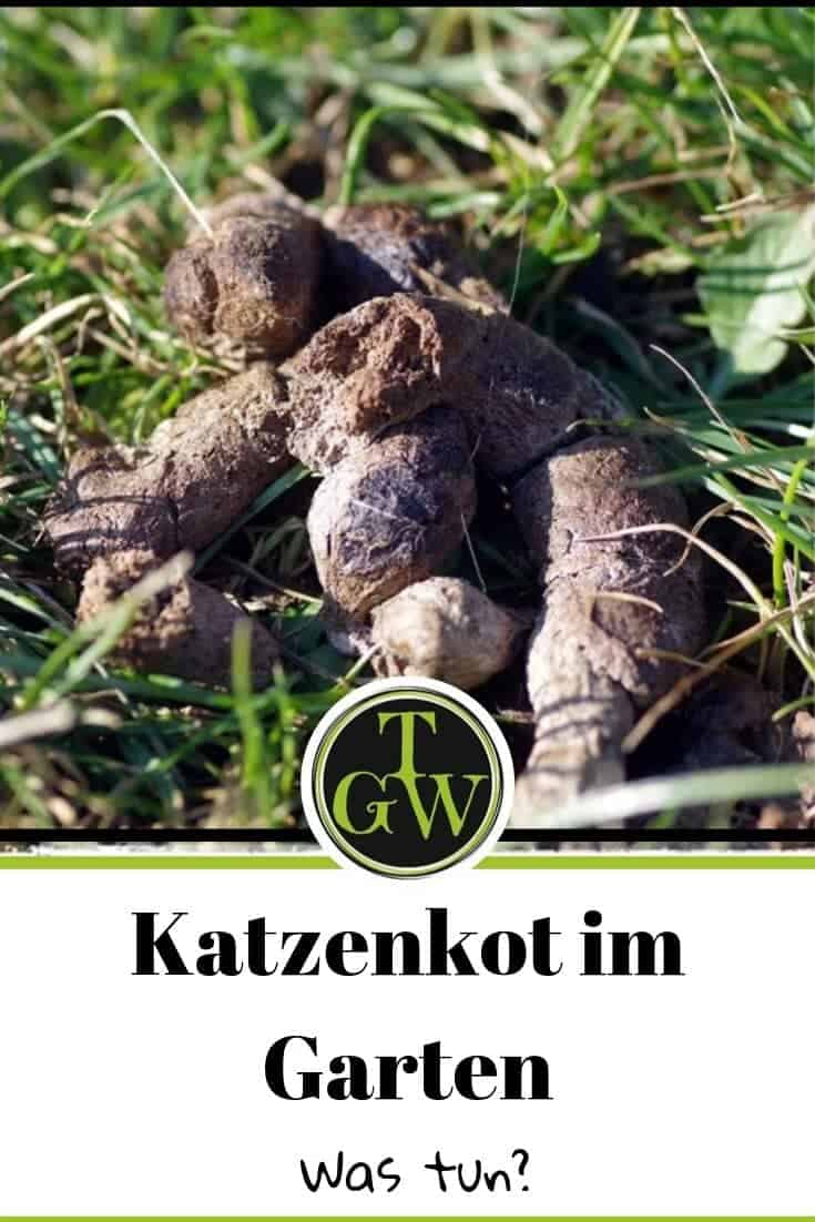 Katzenkot im Garten - Pinterest - Gartenblog Topfgartenwelt
