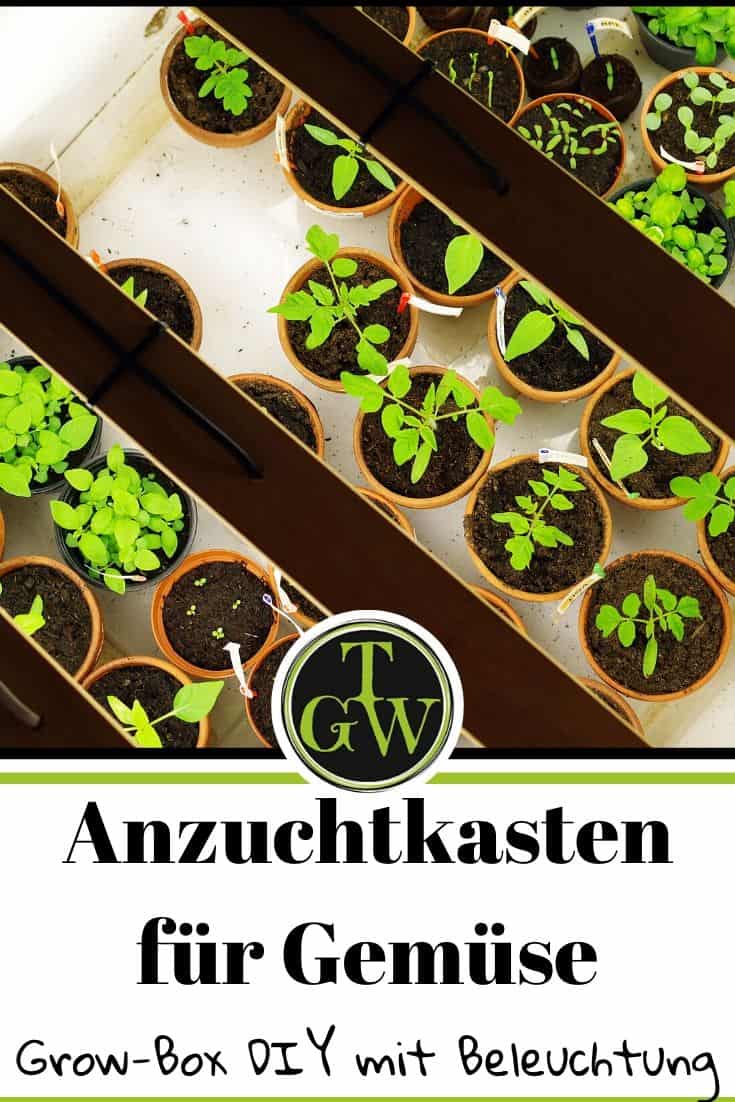Growbox - Anzuchtkasten - Pinterest - Gartenblog Topfgartenwelt