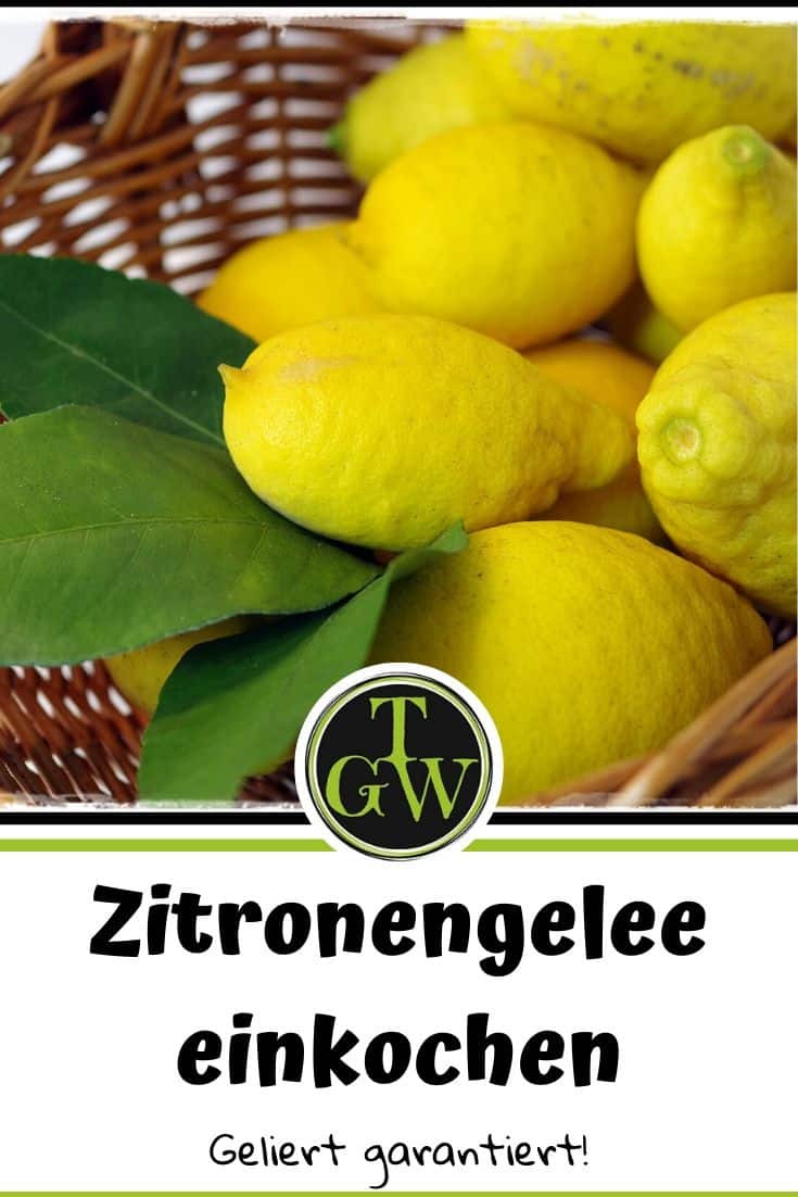 Zitronengelee - Pinterest - Foodblog Topfgartenwelt