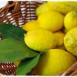 Zitronengelee - Foodblog Topfgartenwelt