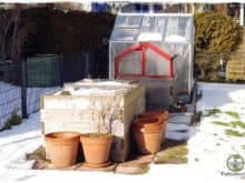 Gartenblog Topfgartenwelt erste Gartenarbeiten im Frühjahr Checkliste: wann kann man mit der Gartenarbeit beginnen