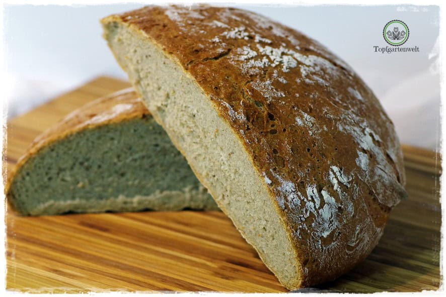 einfaches Hausbrot mit Trockenhefe vom Ofner - Foodblog Topfgartenwelt