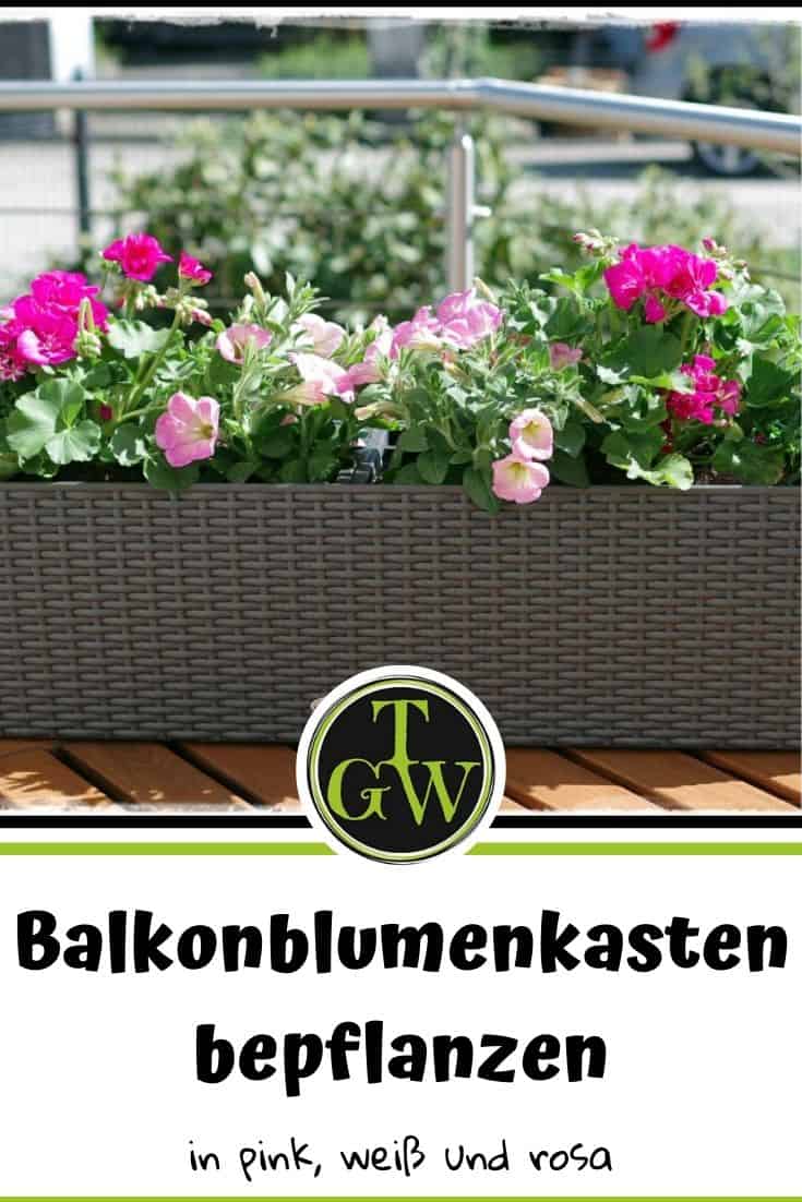 Balkonkästen bepflanzen Beispiele - Gartenblog Topfgartenwelt
