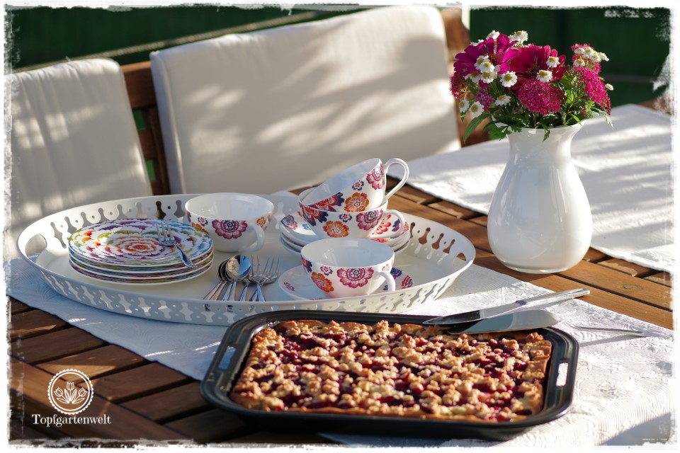 Rhabarber-Streuselkuchen mit Heidelbeeren aus Topfen-Ölteig - Gartenblog Foodblog Topfgartenwelt