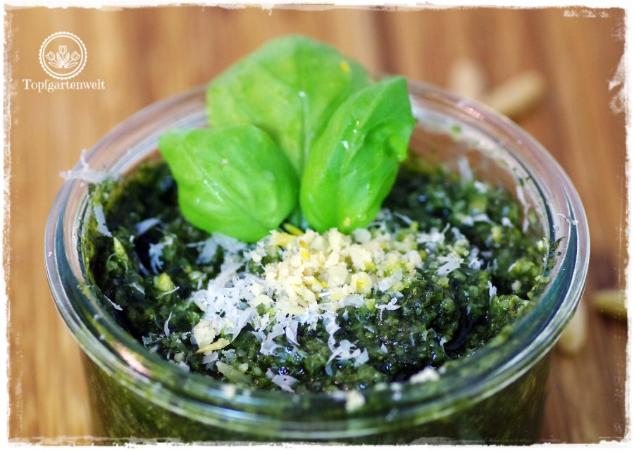 Pesto Genovese einkochen damit es lange hält - Foodblog Topfgartenwelt