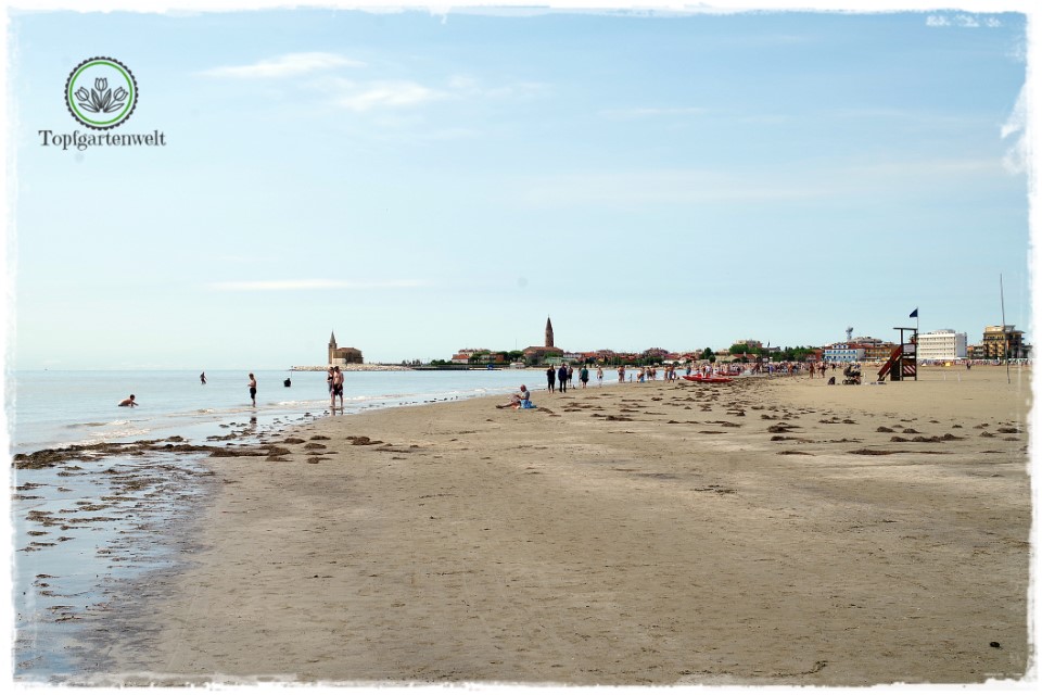 Caorle im Herbst Strandsapziergang mit Blick auf die Fischerkirche - Gartenblog Topfgartenwelt