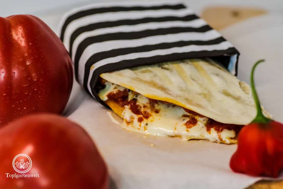 Piadine mit Hähnchen und Pesto Rosso aus Italian Streetfood von Pablo Macias - Foodblog Topfgartenwelt