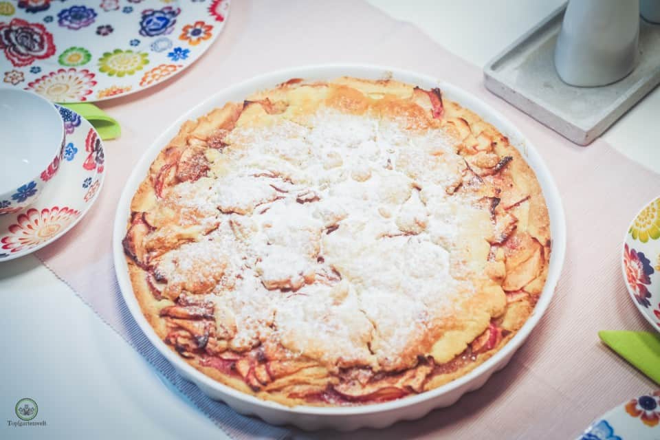 gedeckter Apfelkuchen aus Mürbteig perfekt im Herbst - Foodblog Topfgartenwelt