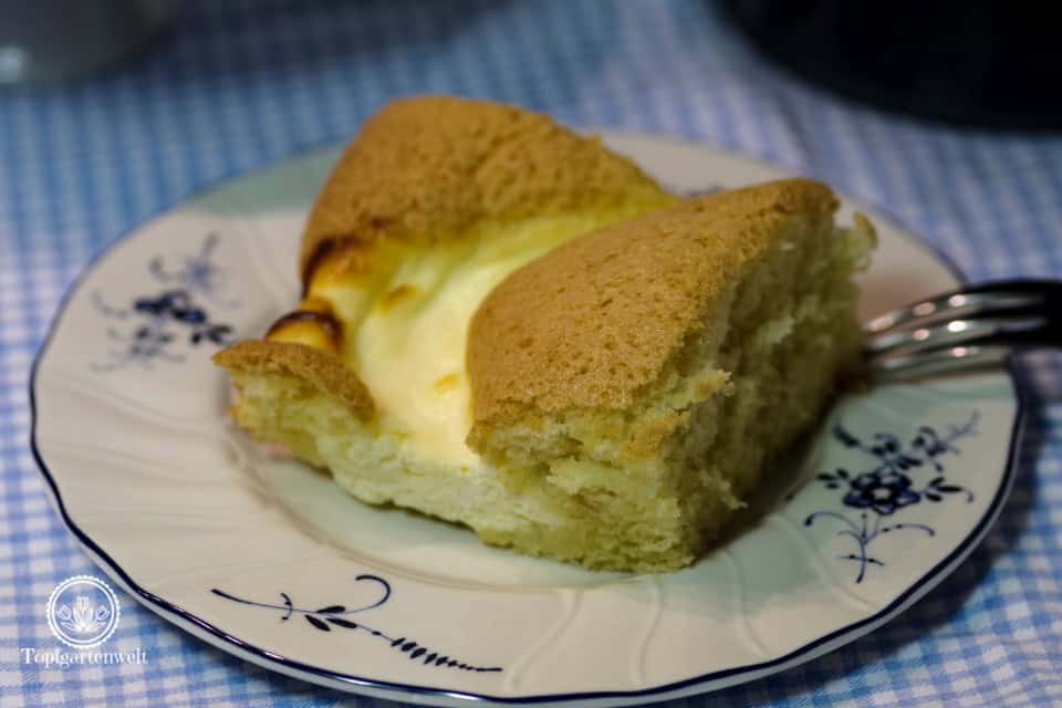 einfacher wirklich toller Topfengitterkuchen vom Backblech - Foodblog Topfgartenwelt