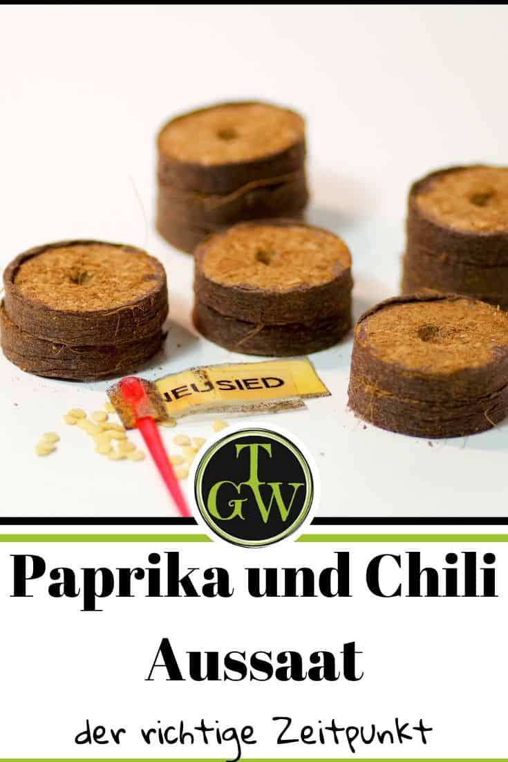 Paprika und Chili säen - Pinterest - Gartenblog Topfgartenwelt