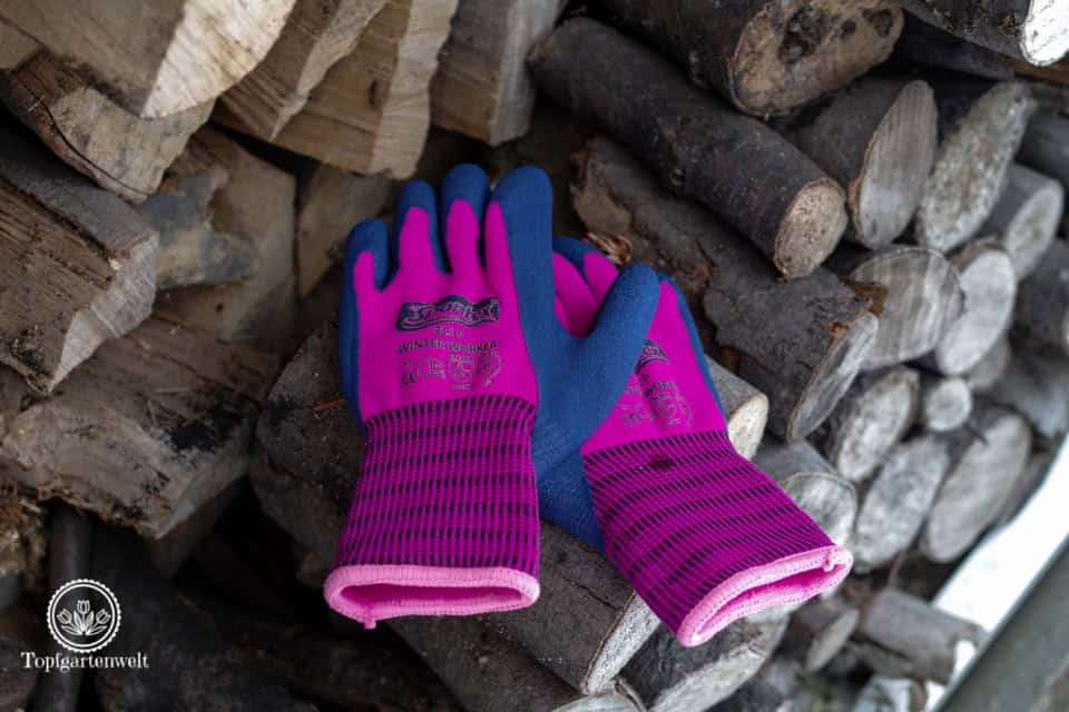 Spontex Winter Worker Gartenhandschuhe für Winter und Frühling - Gartenblog Topfgartenwelt