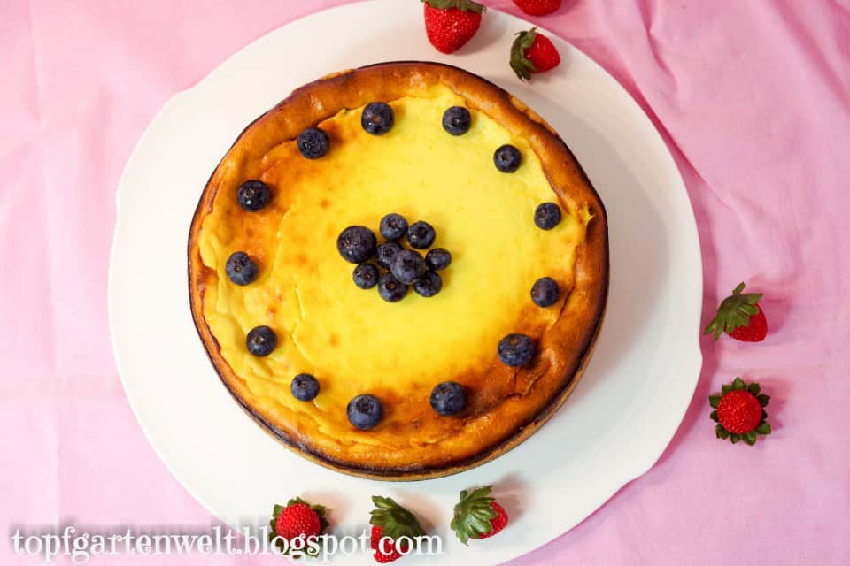 Dieser Faule Weiber Kuchen mit Schmand wurde mit Heidelbeeren belegt. Er befindet sich auf einem weißen Teller und dieser steht auf einer rosaroten Tischdecke..
