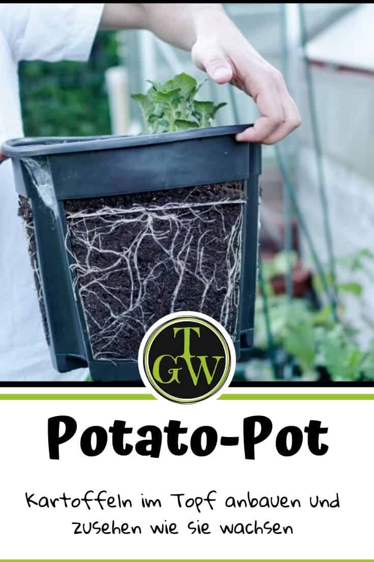 PotatoPot für Balkon und Terrasse: Anleitung, Erfahrung, Kooperation