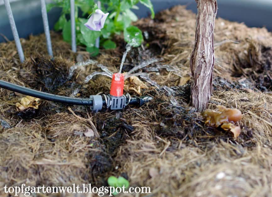 automatische Gartenbewässerung | Gardena Micro Drip System - Gartenblog Topfgartenwelt