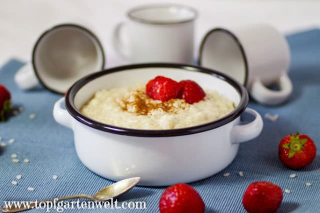 Rezept für einen einfachen Milchreis mit Zimt und Vanillezucker - Foodblog Topfgartenwelt