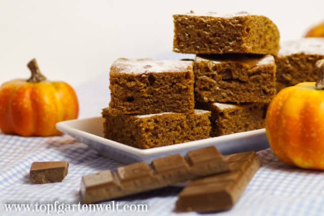 Kürbiskuchen vom Blech mit Öl und Schokolade - Foodblog Topfgartenwelt