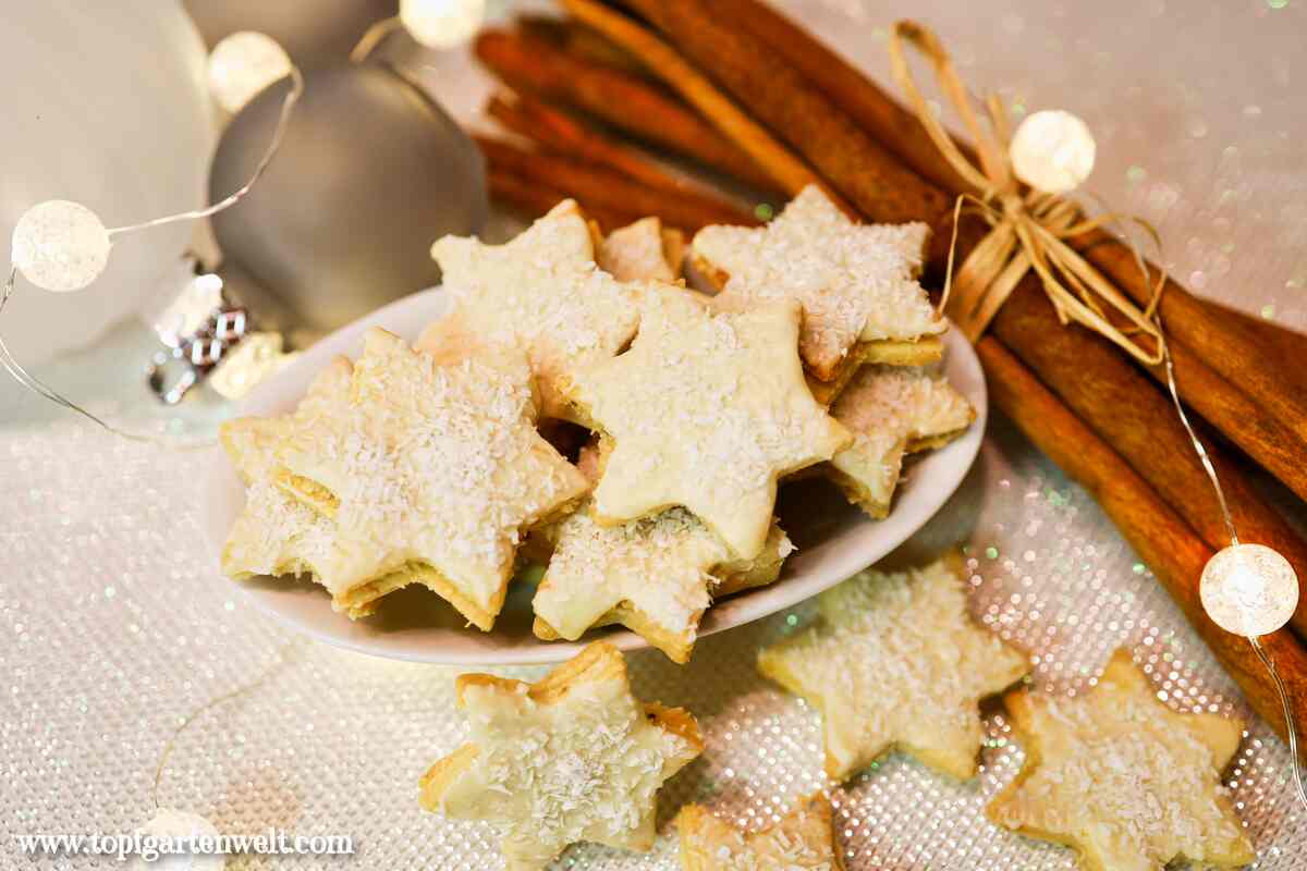 exotische Kokossterne aus die besten Weihnachtskekse Johanna Aust, Löwenzahnverlag - Foodblog Topfgartenwelt