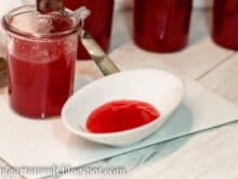 Himbeergelee ohne Kerne einkochen | mit Gelierzucker | Rezept - Foodblog Topfgartenwelt