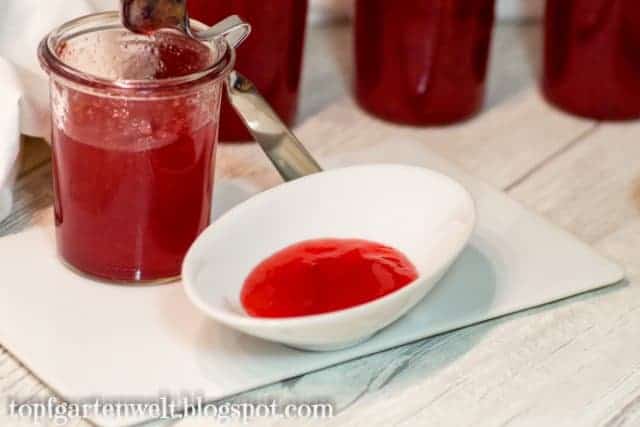 Himbeergelee ohne Kerne einkochen | mit Gelierzucker | Rezept - Foodblog Topfgartenwelt