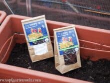 Lite-Soil Vliesstreifen zum Wasser sparen im Garten - Gartenblog Topfgartenwelt