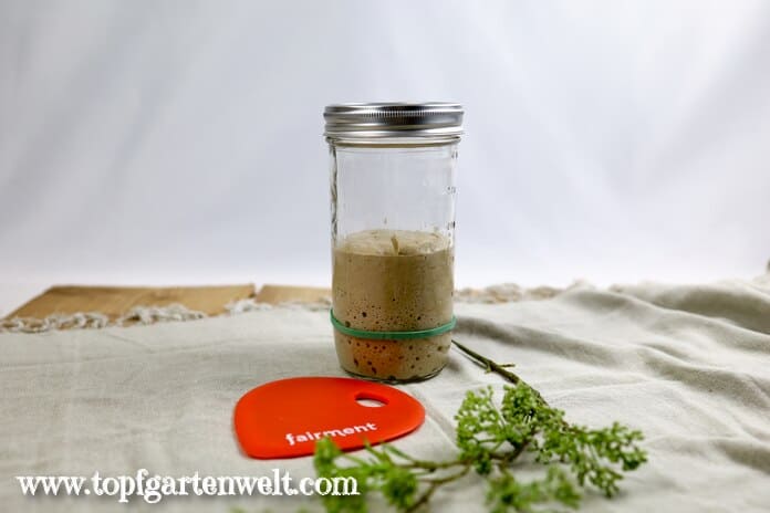 reifer Sauerteig fertig zum Backen - Foodblog Topfgartenwelt