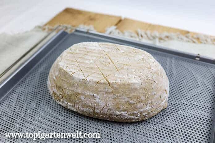 Teigling vor vor dem Backen - Foodblog Topfgartenwelt
