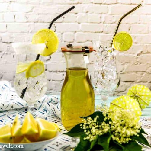 bestes Holunderblütensirup Rezept mit Zitronensäure - Foodblog Topfgartenwelt