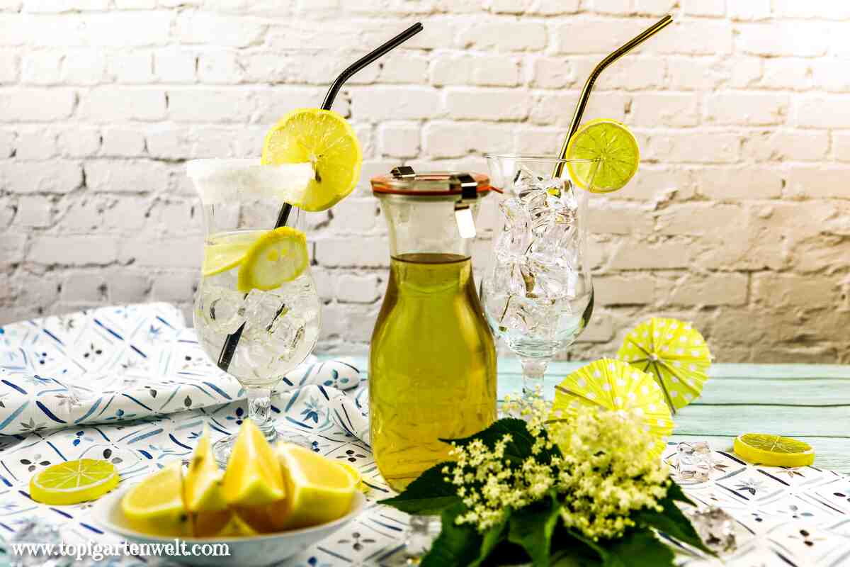 bestes Holunderblütensirup Rezept mit Zitronensäure - Foodblog Topfgartenwelt