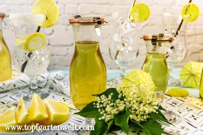 Eine Flasche mit Holunderblütensirup mit Zitronensäure steht bereit. Daneben sind schon ein paar Cocktailgläser mit aufgesteckten Zitronenscheiben zu sehen.