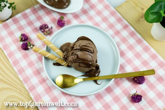 Eine Kugel Nutellaeis liegt auf einem blauen Teller und ist mit Hohlhippen dekoriert. Daneben liegt ein goldener Löffel.