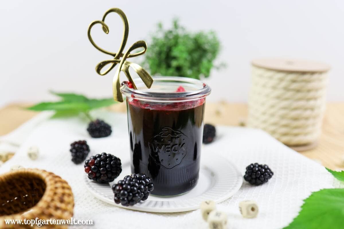 Brombeermarmelade ohne Kerne selber machen - Foodblog Topfgartenwelt