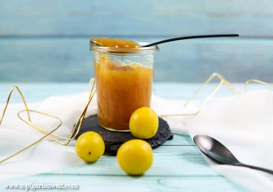 Kriecherlmarmelade - Haferschlehen-Konfitüre - Foodblog Topfgartenwelt