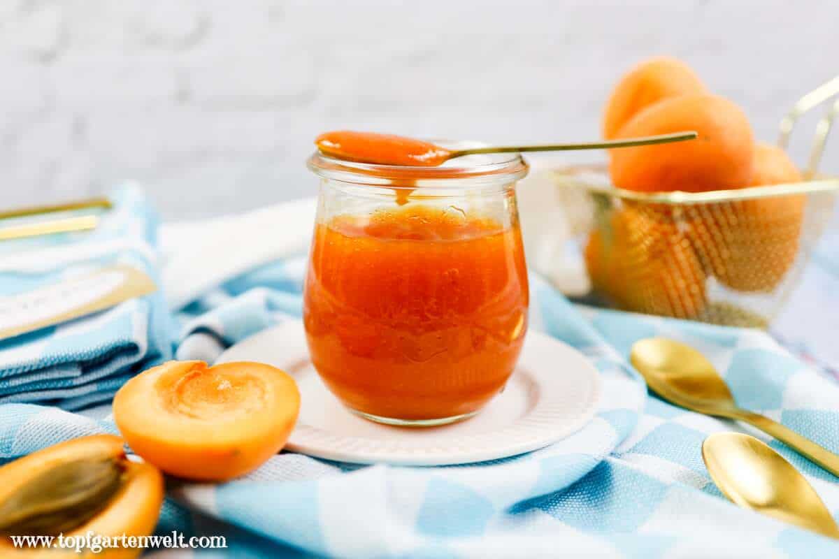 einfache Aprikosenkonfitüre mit Gelierzucker | Marillenmarmelade einkochen - Foodblog Topfgartenwelt