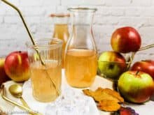 Apfelsaft selber machen mit Entsafter und einkochen - Foodblog Topfgartenwelt