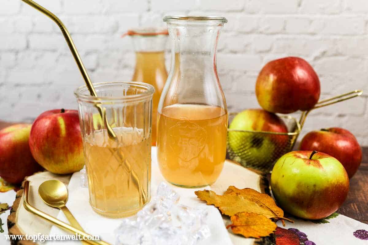 Apfelsaft selber machen mit Entsafter und einkochen - Foodblog Topfgartenwelt