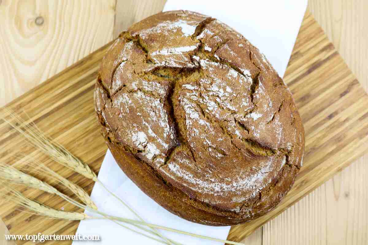 Bauernbrot vom Ofner - Foodblog Topfgartenwelt