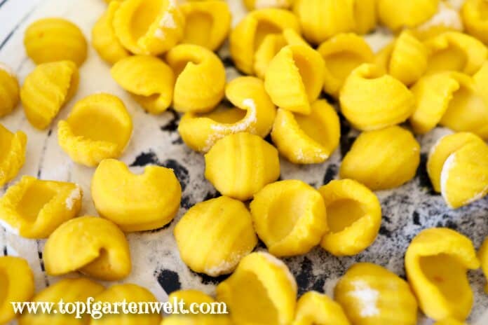 Kürbisgnocchi aus dem Pastamaker - Foodblog Topfgartenwelt