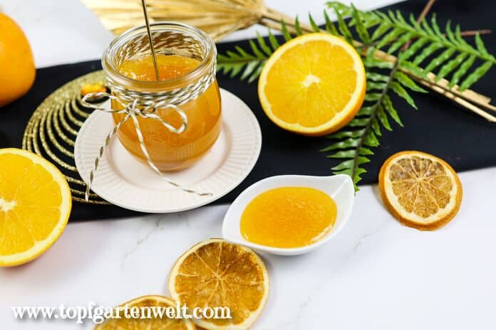 Glas und Schälchen gefüllt mit Orangenmarmelade. Im Hintergrund ist ein grüner Zweig zu sehen.