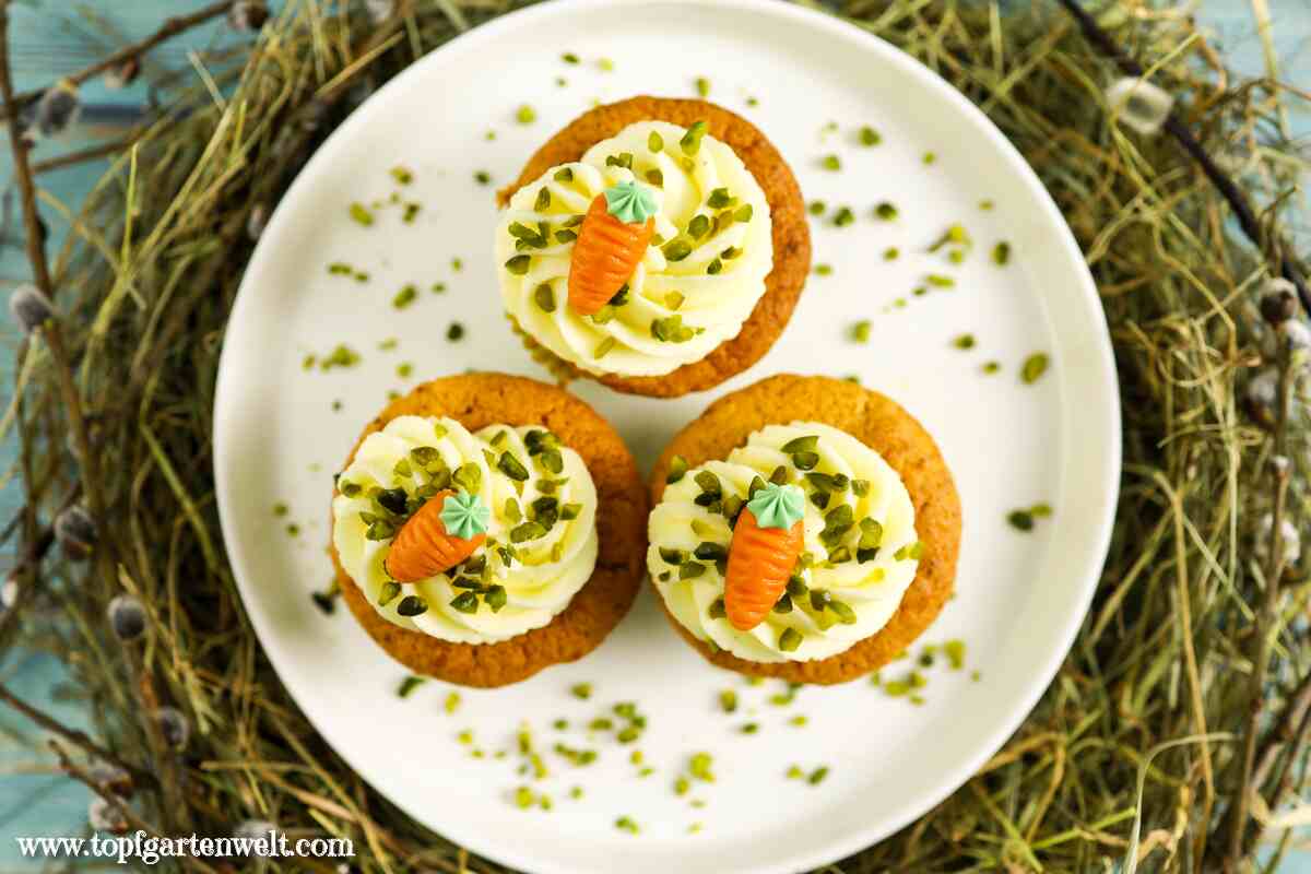 Rübli Muffins mit Öl und Frischkäse-Topping - Foodblog Topfgartenwelt