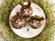 Osterhasen Muffins mit Ohren - Foodblog Topfgartenwelt