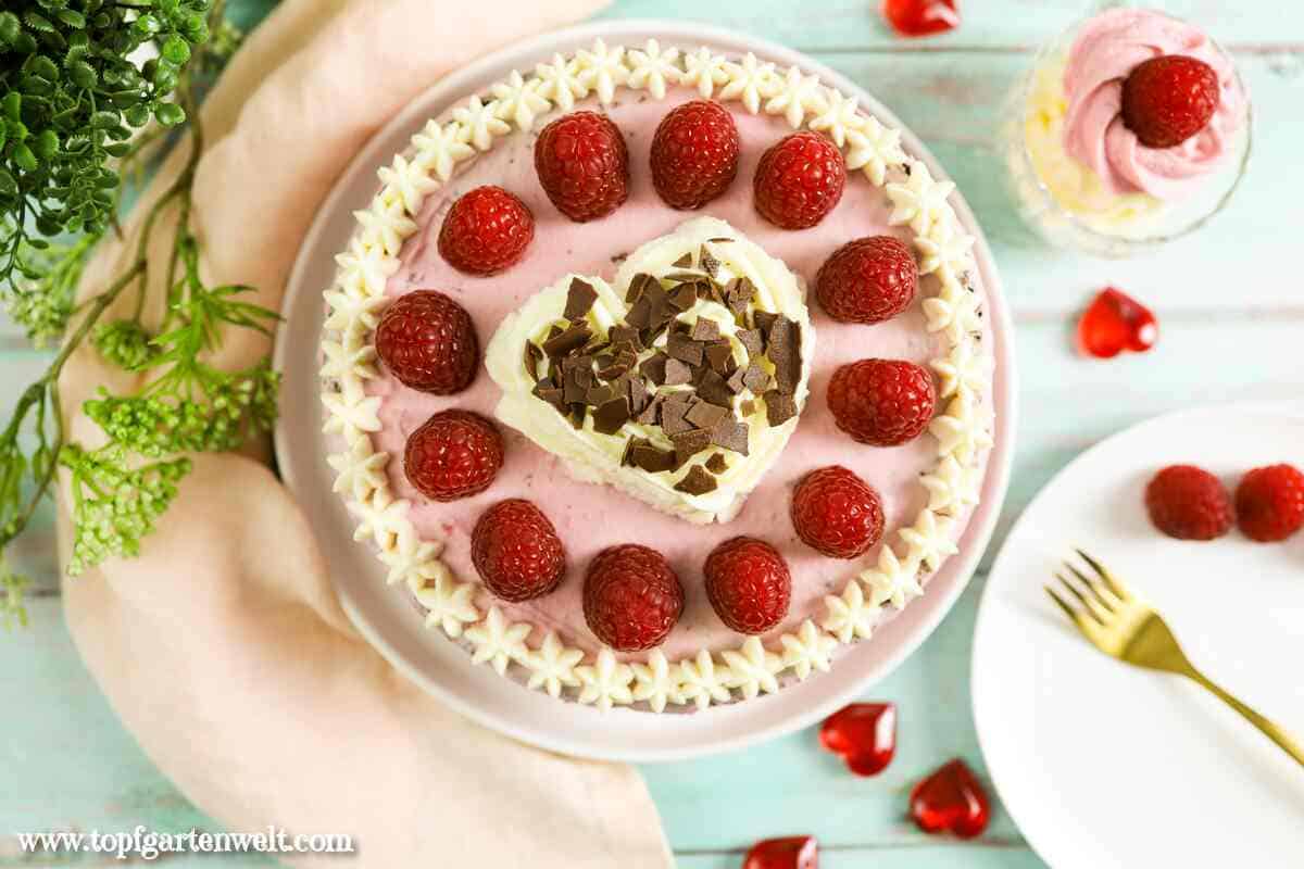 Himbeertorte mit Mascarpone Quark (Topfen) und Sahne - Foodblog Topfgartenwelt